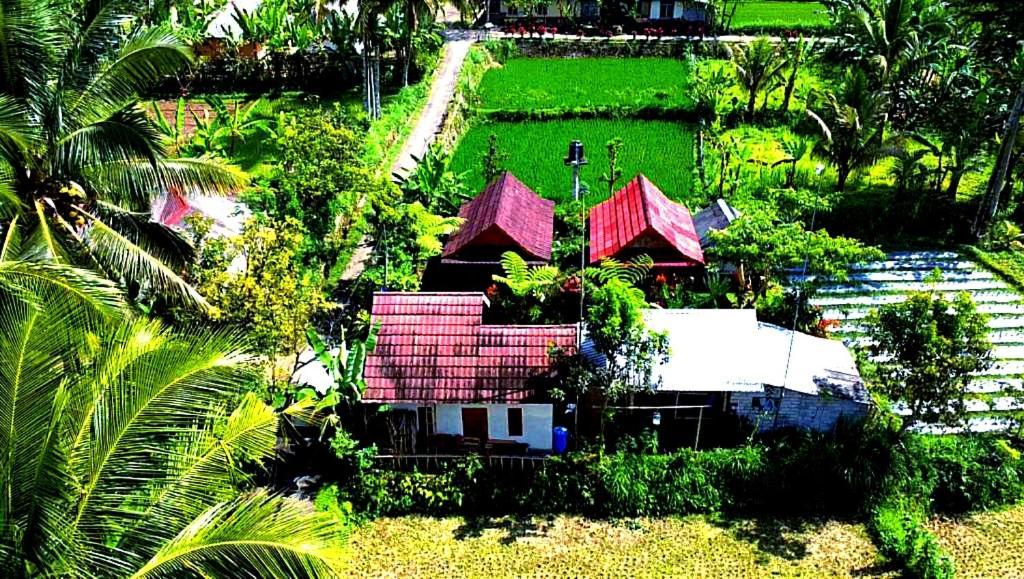 Ariel Bungalow Tetebatu Bagian luar foto