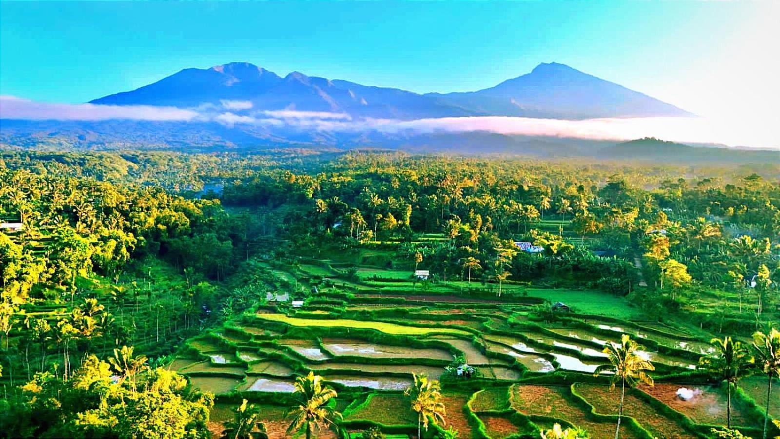 Ariel Bungalow Tetebatu Bagian luar foto
